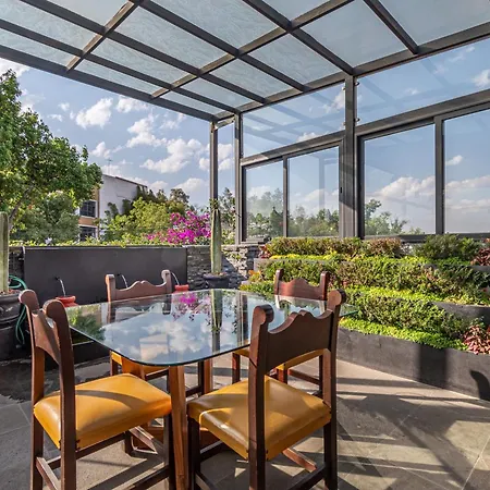 Terraza & Loft San Angel Apartment