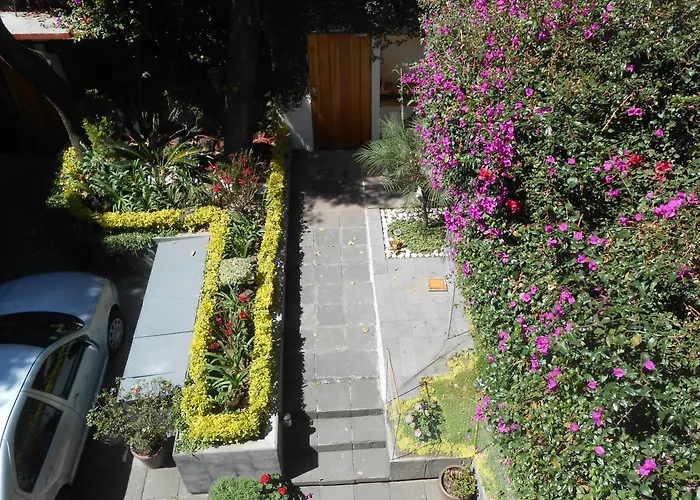 Alloggio in famiglia Terraza&loft San ángel Città del Messico
