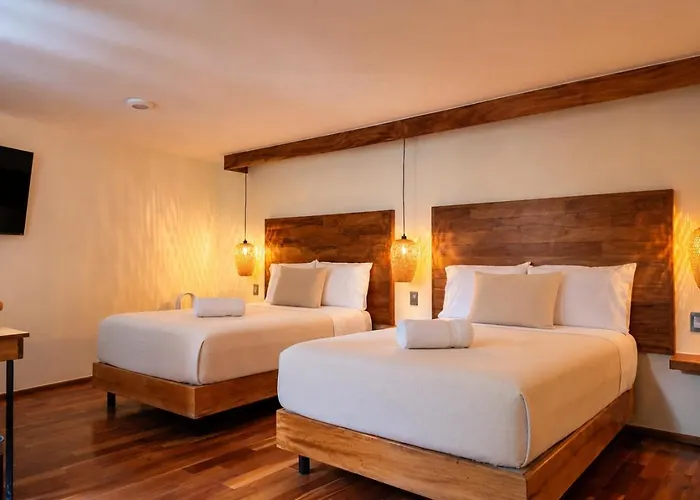 Terraza&loft San ángel