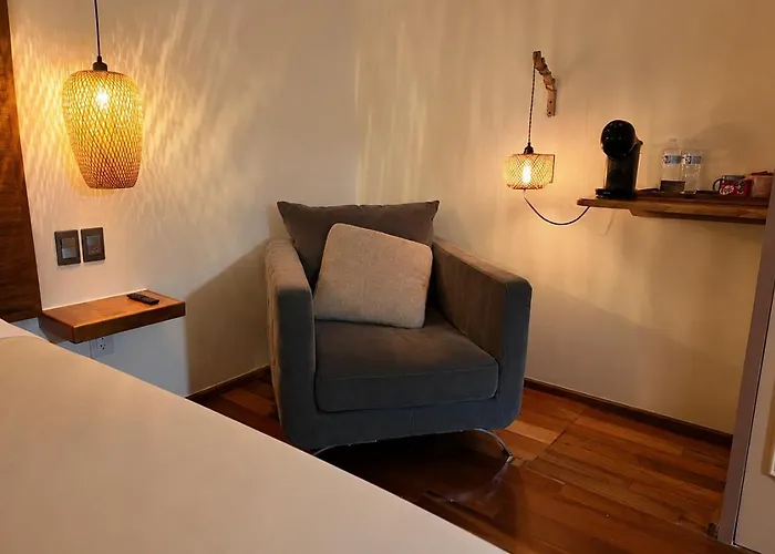 Terraza&loft San ángel